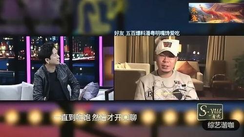 爆料片场骂人视频合集在线观看,独家揭秘明星骂人视频合集