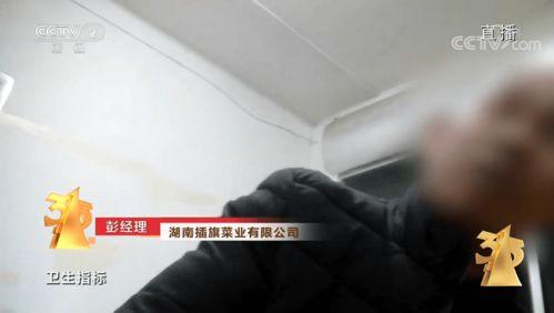 插旗菜业爆料视频播放,行业内幕大曝光