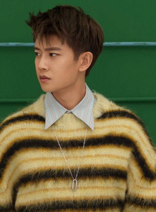 任嘉伦热巴最新爆料,揭秘明星幕后故事与情感纠葛